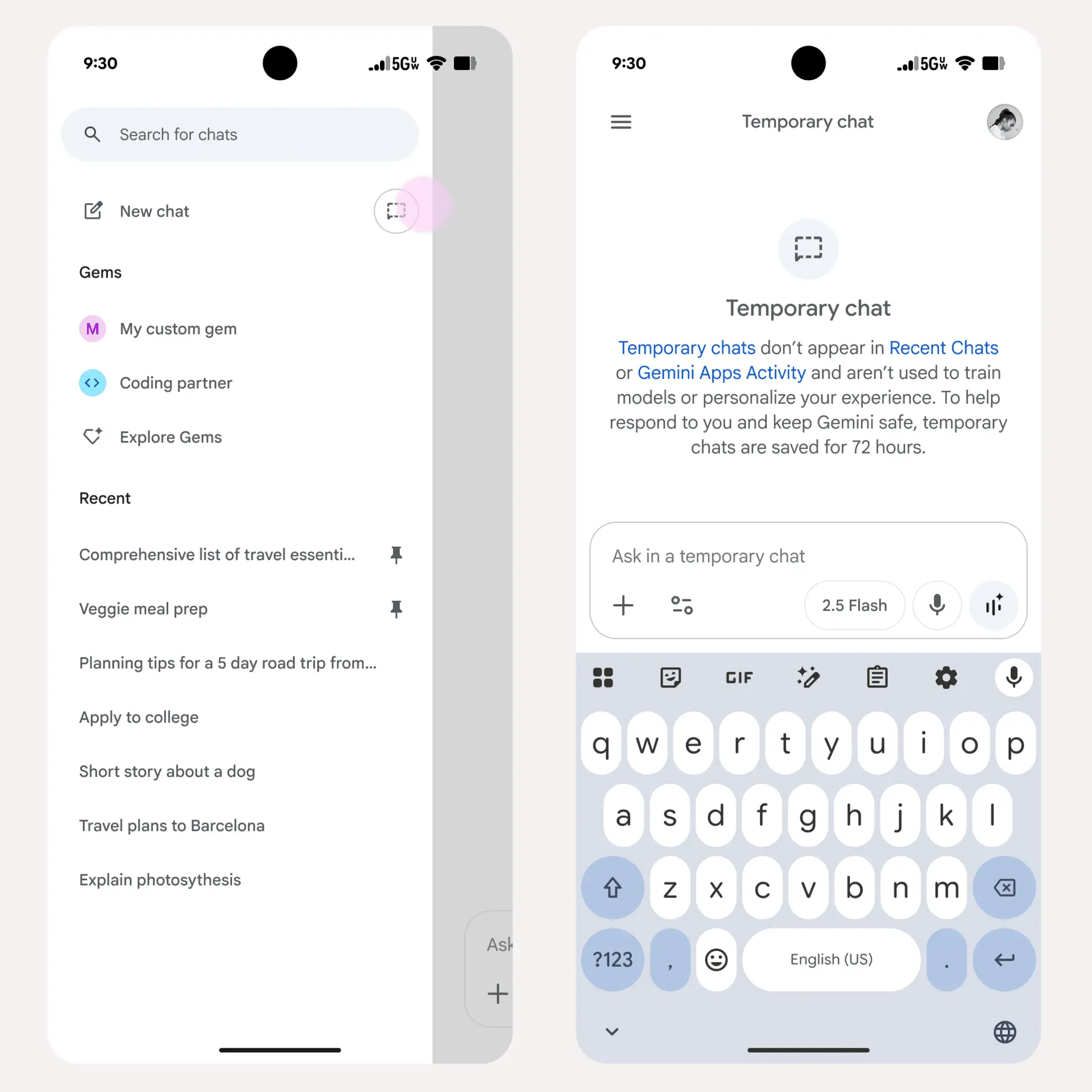 Google, Gemini AI
